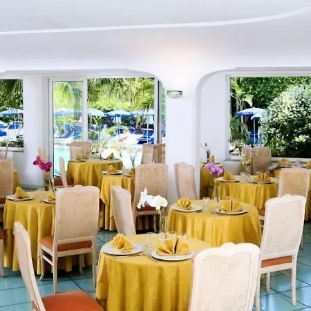 弗拉里蒂尔那泰尔梅酒店 酒店 伊斯基亚