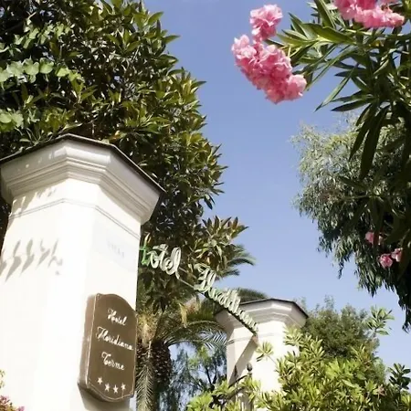 弗拉里蒂尔那泰尔梅酒店 伊斯基亚